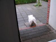 Klik op de foto voor groter formaat